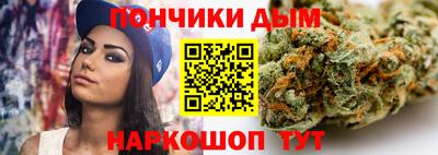 индика Будённовск