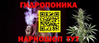 индика Будённовск