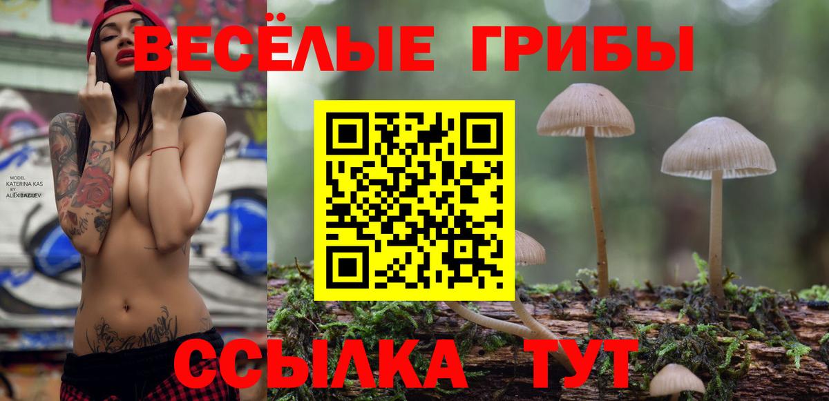 закладка  Псилоцибиновые грибы прущие грибы  Вход с VPN  Темрюк  Псилоцибиновые грибы MAGIC MUSHROOMS 