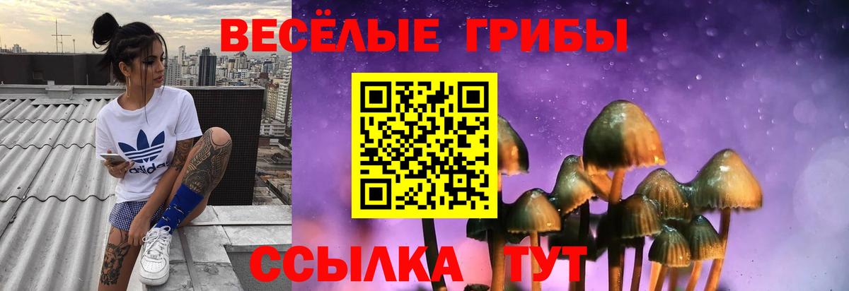Псилоцибиновые грибы мицелий Темрюк